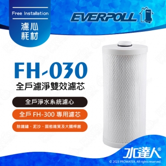 EVERPOLL傳家寶全戶濾淨FH-300專用替換濾心(FH-030/FH030)★適用FH300/FH301★除餘氯及鉛等無機化合物及重金屬