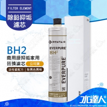 EVERPURE愛惠浦 BH2濾芯1入 (台灣代理公司貨)★美國原裝進口★有效濾水量：3,000 加侖│含到府更換