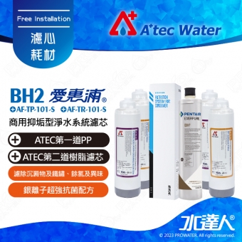 EVERPURE 愛惠浦BH2濾芯+ATEC AF前置雙道濾心組2組│一年份濾心組合