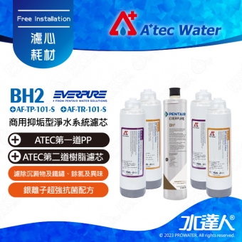 【水達人公司貨】EVERPURE BH2 濾心+ATEC AF前置雙道濾心組 2組│一年份濾心組合