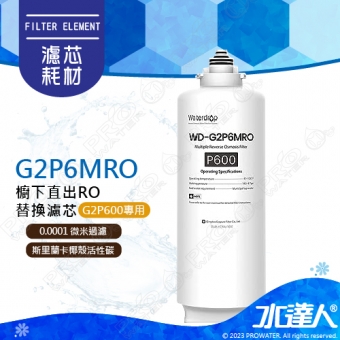 【EVERPURE愛惠浦】 Waterdrop G2P600專用MRO濾心(第二道)│適用G2P600 愛惠浦RO淨水器