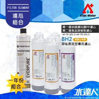 EVERPURE 愛惠浦BH2濾芯+ATEC AF前置雙道濾心組2組│一年份濾心組合