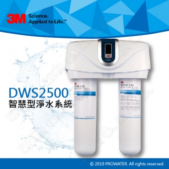 《3M淨水器》 DWS2500智慧型淨水系統/淨水器)★過濾孔徑0.2微米★可除鉛