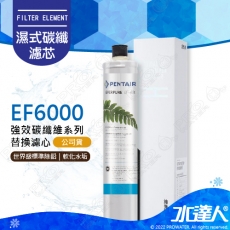 【EVERPURE 愛惠浦】 EF6000/EF-6000濾芯/全流量強效碳纖維系列淨濾心【單入】★公司貨★0.5微米過濾★有效濾水量：22713 公升